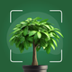 Plantix- Plant Leaf Identifier