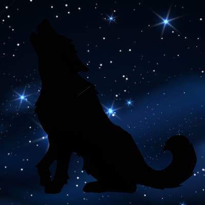 animals_36