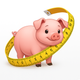 Pig Weight Pro