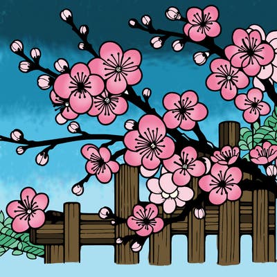 japan cherry blossom