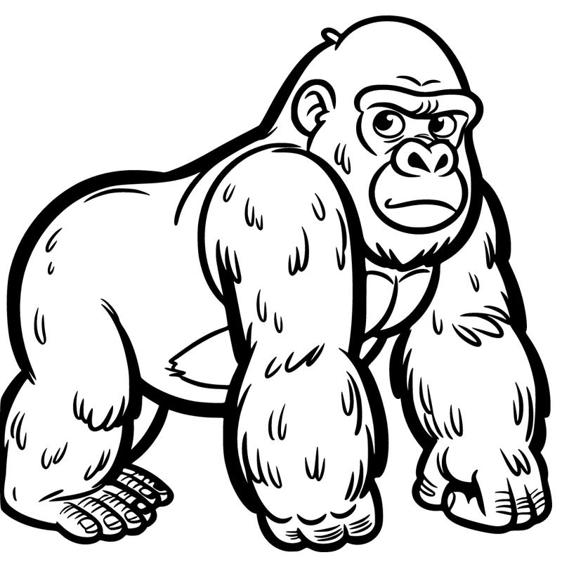 a gorilla