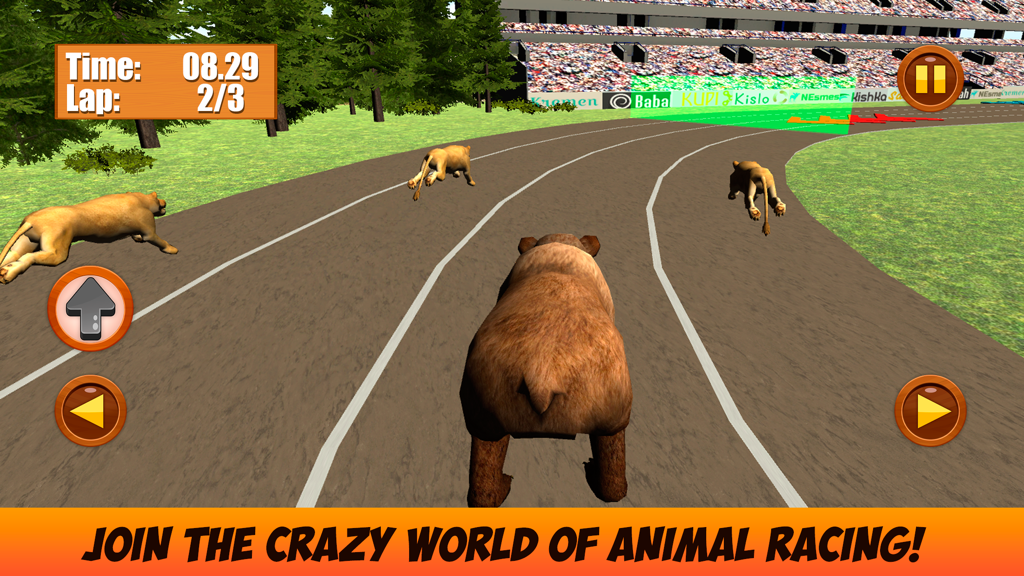 Wild Animal Racing Challenge 3D - A 3D gameplay scene from Wild Animal Racing Challenge showing a bear and lions competing on a stadium track.