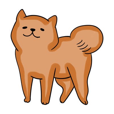 animals_29