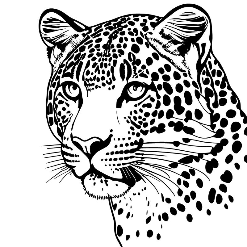 leopard