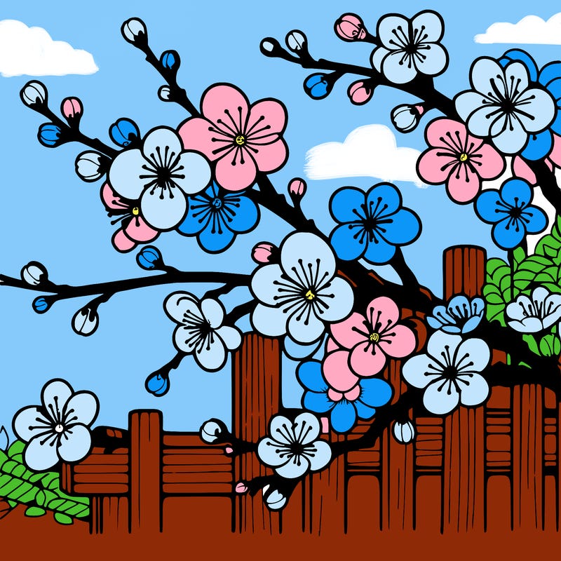 japan cherry blossom