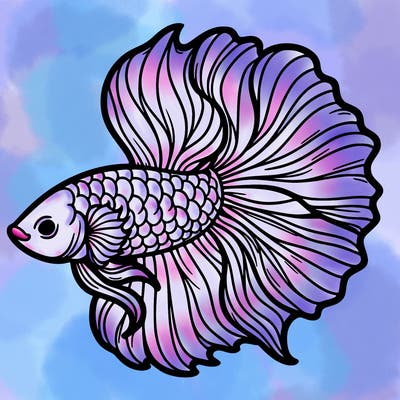 betta fish