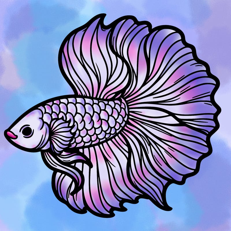 betta fish