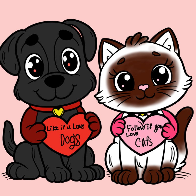 dog and cat holding a heart
