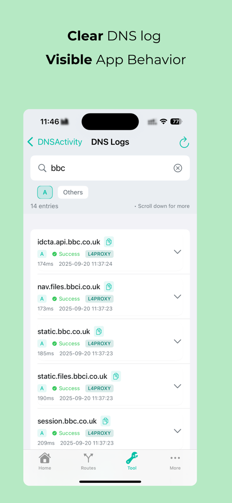 MintFlow NetStack - MintFlow NetStack app interface showing detailed DNS logs and domain activity monitoring