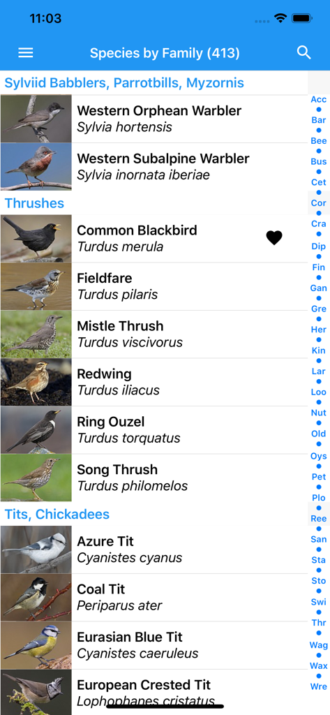 A list of European bird species categorized by family in the BirdSounds Europe mobile app interface