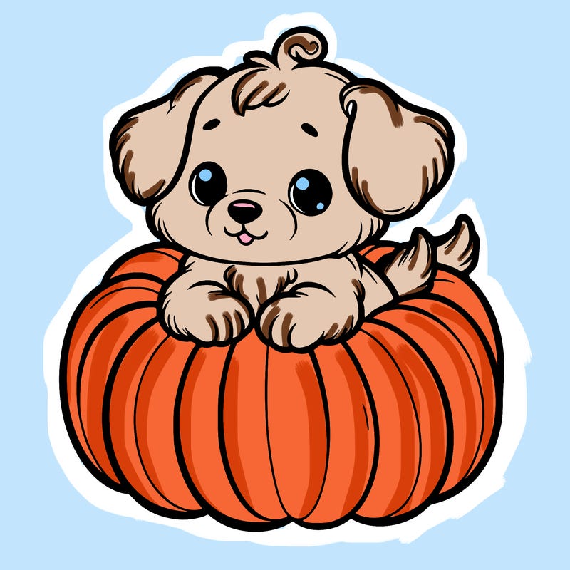 cute little puppy in a pumpkin