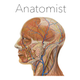 Anatomist – The Anatomy Game