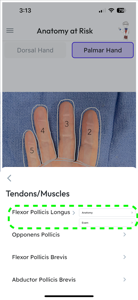 Anatomy at Risk - Medical App | MWM