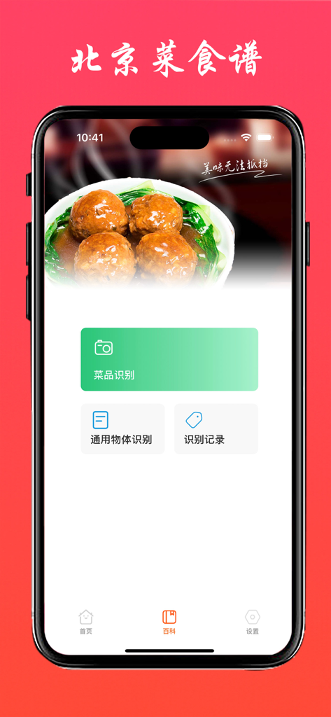 Screenshot of the Beijing Cuisine Recipes app interface showing dish and object recognition features with a photo of braised meatballs.