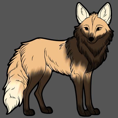 maned wolf
