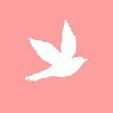 Algo bonito - Icona App