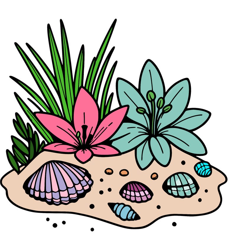 sand, lily, shells