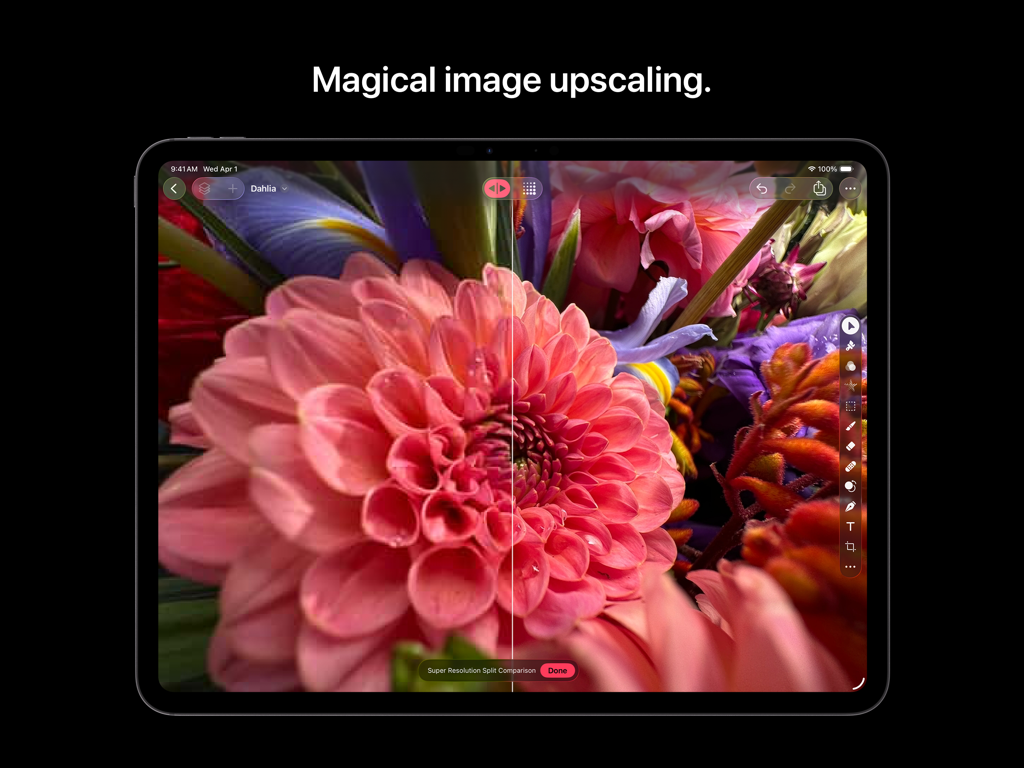 Split-screen comparison of a pink flower showing the image upscaling feature on an iPad