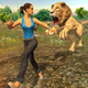 Lion Simulator Wildlife Animal