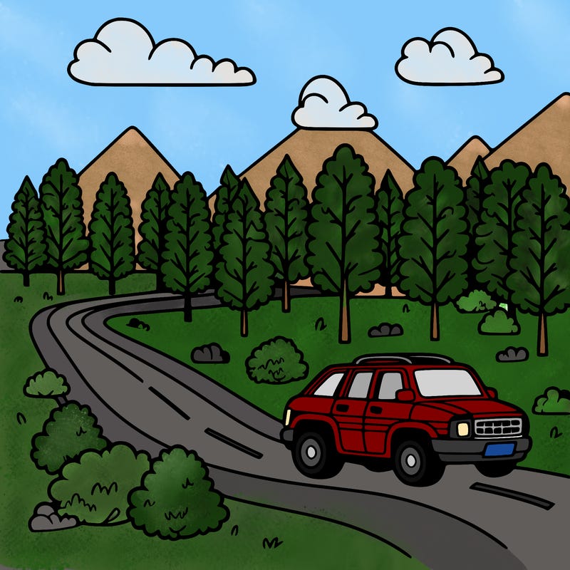 car on a forest road