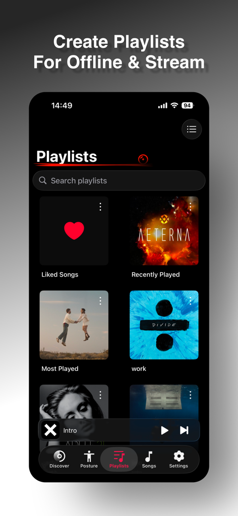 PoseMusic-Offline Music Player - PoseMusic app interface showing the playlist management screen with options for offline and streaming music.