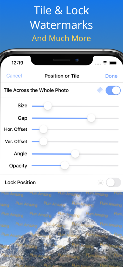 Screenshot of the iWatermark plus app interface for tiling and locking watermarks on a photo.