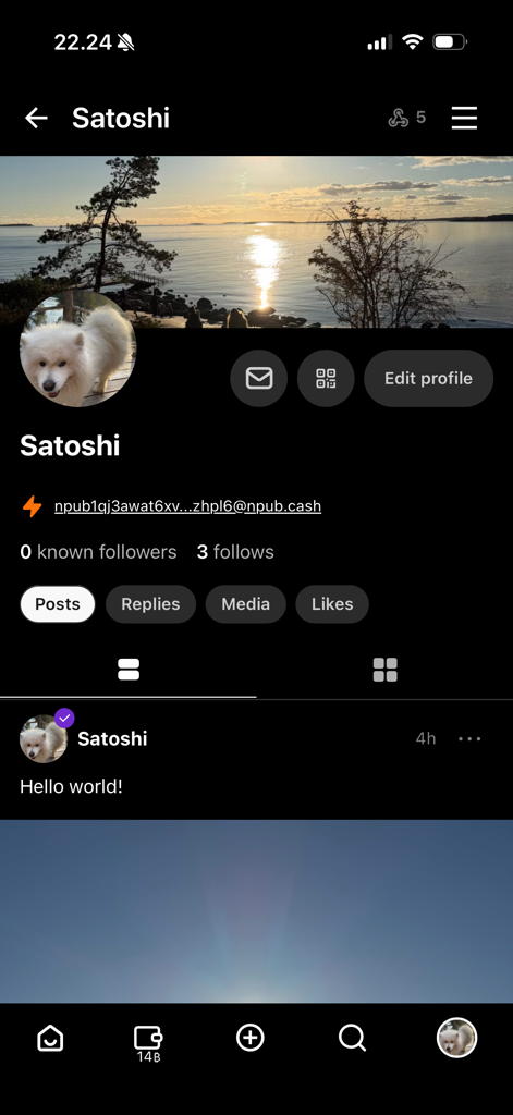 Iris – The Nostr client - User profile screen on Iris Nostr client featuring a post feed and decentralized identity details
