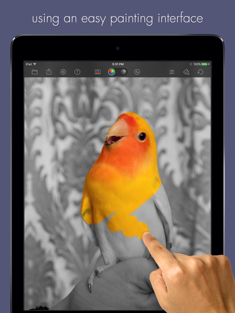 A hand painting yellow and orange color onto a black and white photo of a bird using the Color Splash app on an iPad.