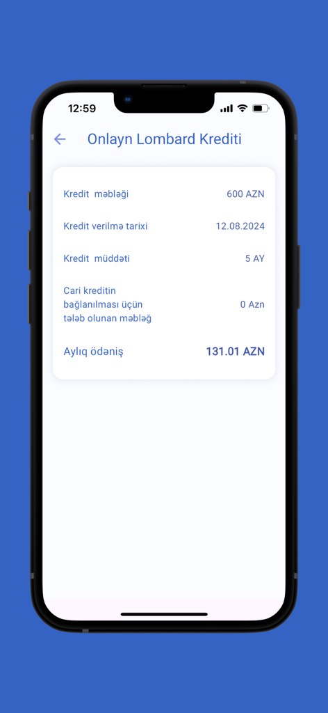 İnternational BOKT - International BOKT app screen showing online pawn loan details with monthly payment information