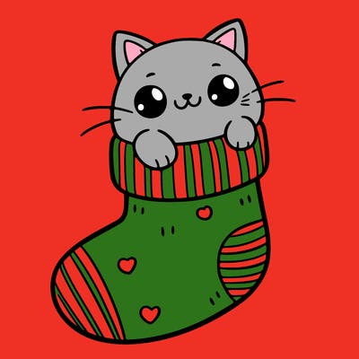cute cat in a sock