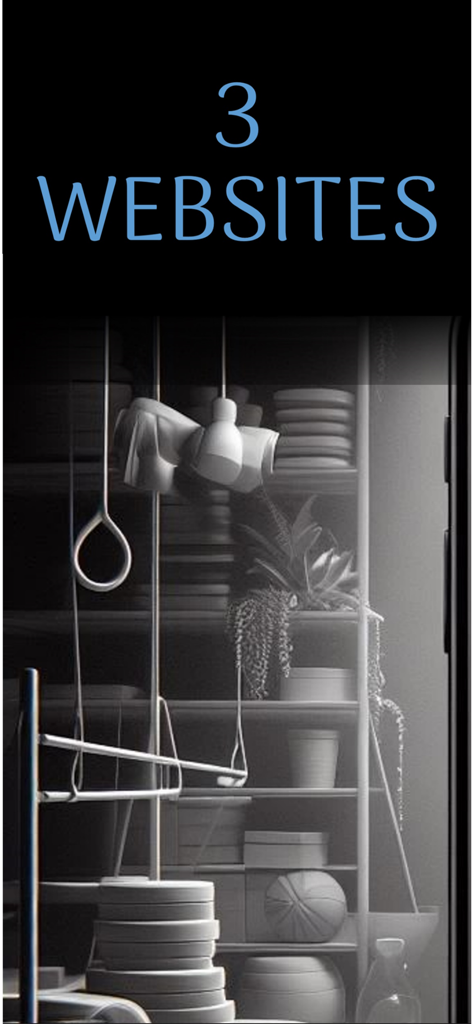 App screen showing the consolidation of three gymnastics scoring websites into one platform