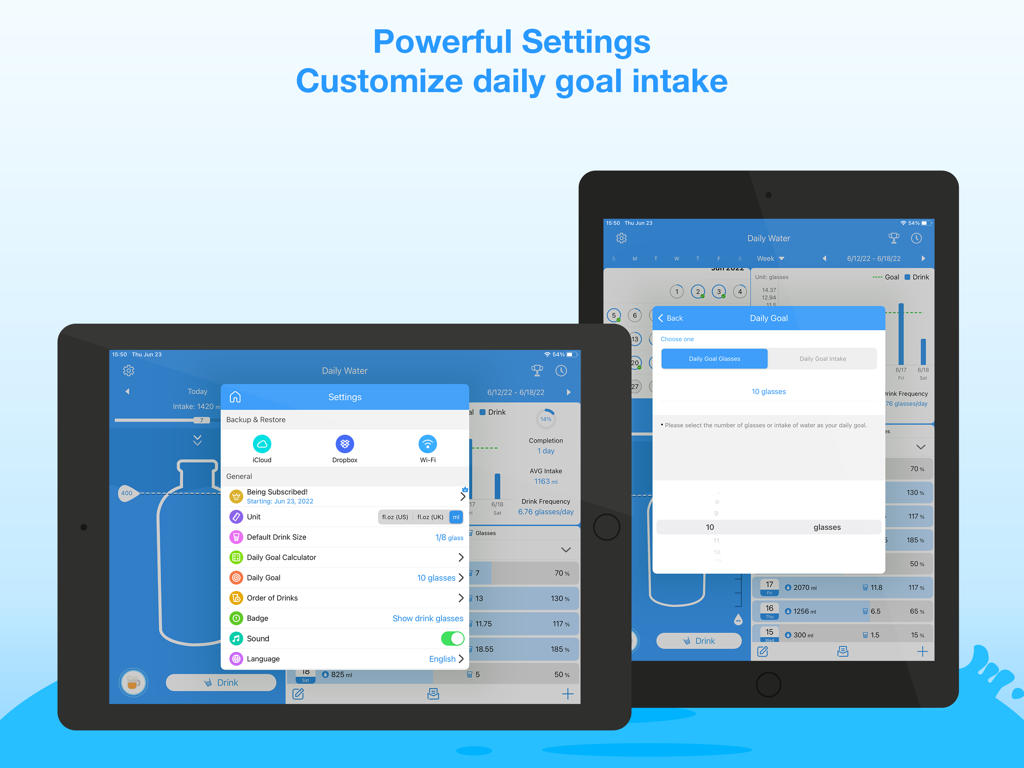 설정 및 목표 사용자 지정을 보여주는 iPad용 Daily Water Pro 앱 화면