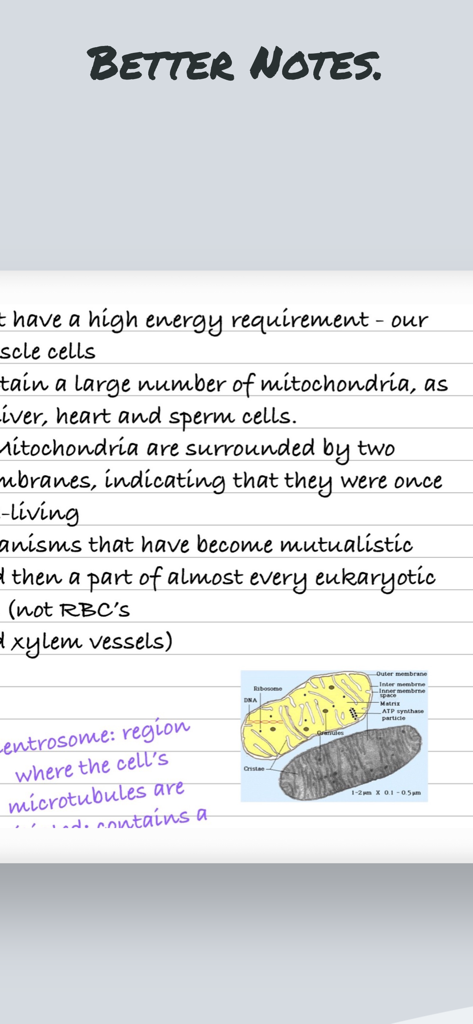線入り用紙に書かれたミトコンドリア生物学に関するデジタル手書きノートと科学的な図。