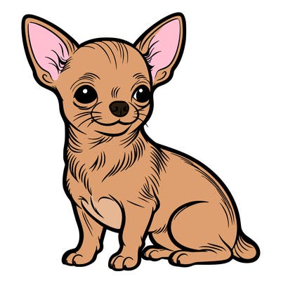 chihuahua