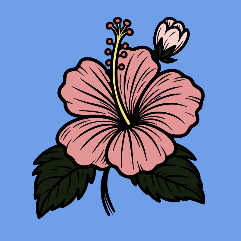hibiscus flower