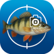 Fish Finder AI:Catch Time