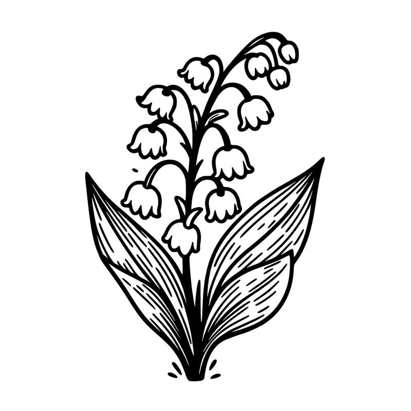 lily of the valley flower