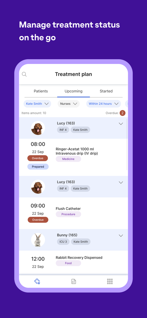 Provet Mobile - Interfaccia dell'app Provet Mobile che mostra un piano di trattamento veterinario per l'assistenza programmata al paziente.