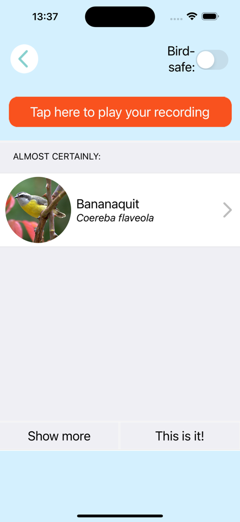 ChirpOMatic Caribbean - ChirpOMatic Caribbean app interface showing a Bananaquit bird identification result