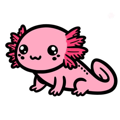 axolotl
