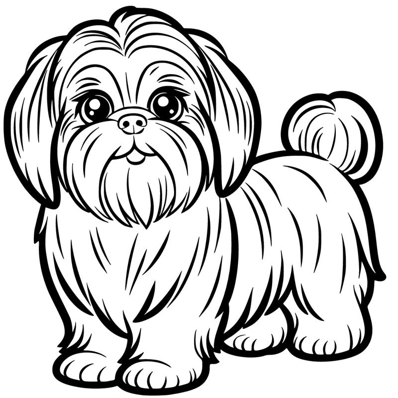 shih tzu
