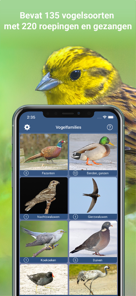 Uno schermo mobile che mostra varie categorie di specie di uccelli all'interno dell'app Vogelzang Id Nederland su uno sfondo di un uccello giallo.