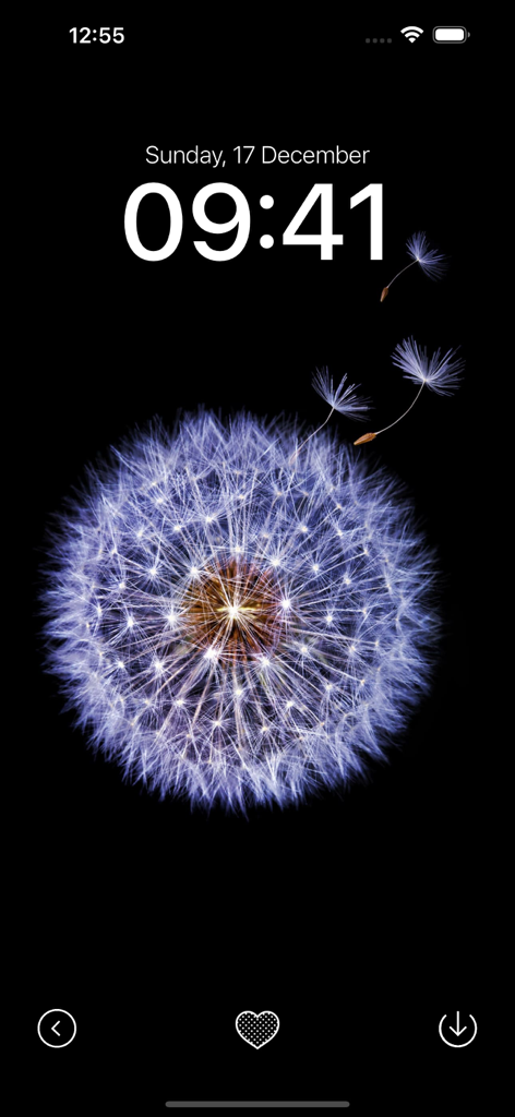 Black Wallpaper App - Minimalist black wallpaper for iPhone featuring a glowing purple dandelion on a dark background