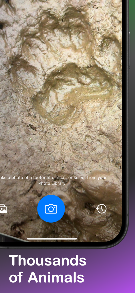 Trail Trace - Animal Tracker - Animal track identification feature in the Trail Trace app showing a large footprint in mud.