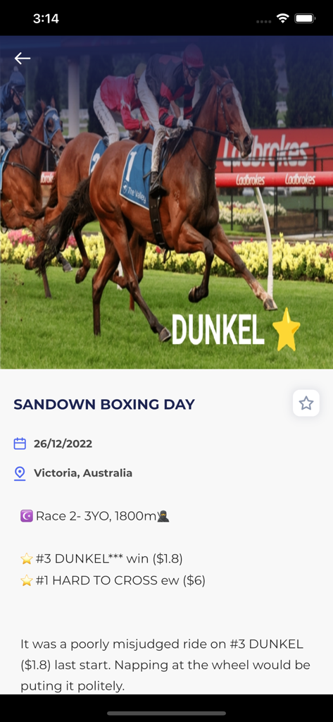 Jig Racing - Jig Racing app displaying horse racing tips and race analysis for Sandown Boxing Day