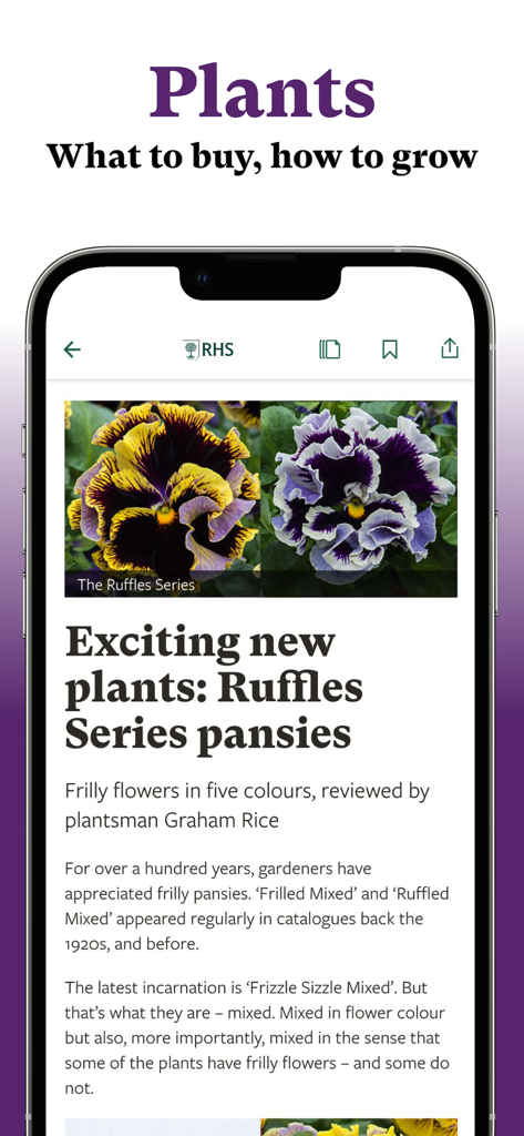 RHS The Garden - A smartphone showing an article about Ruffles Series pansies in the RHS The Garden app.