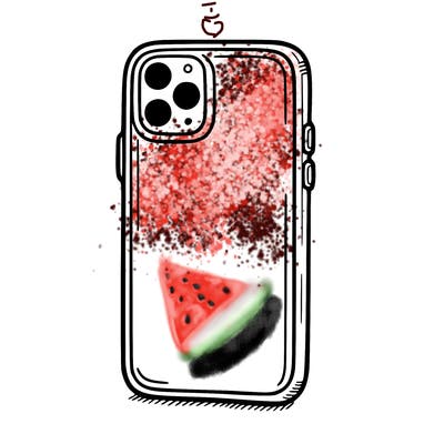 phone case