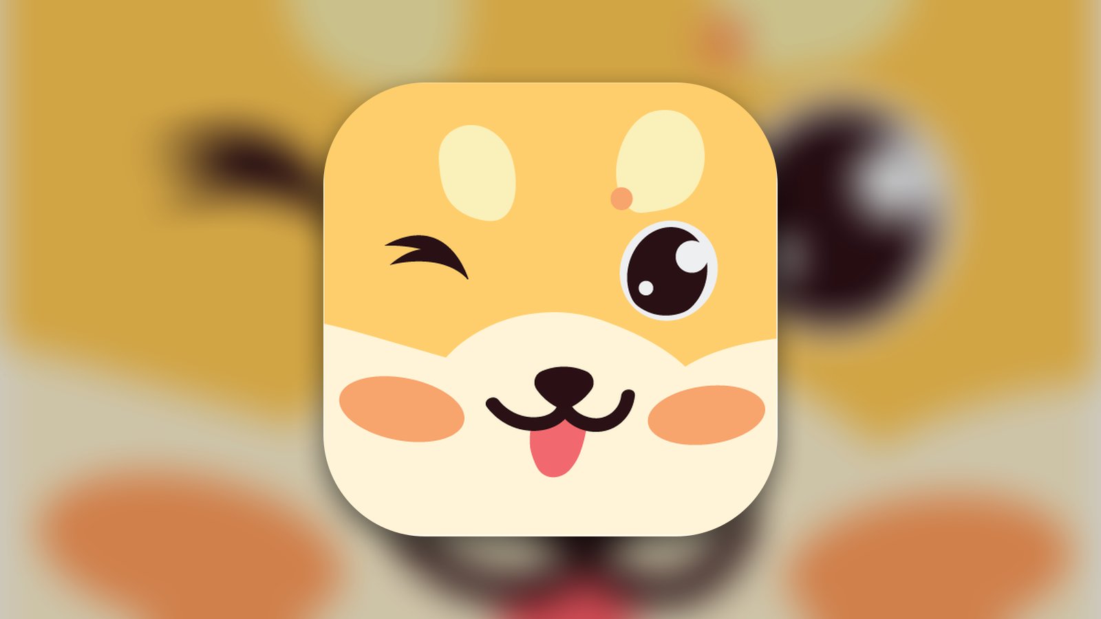 Learn Japanese - HeyJapan - Education App | MWM