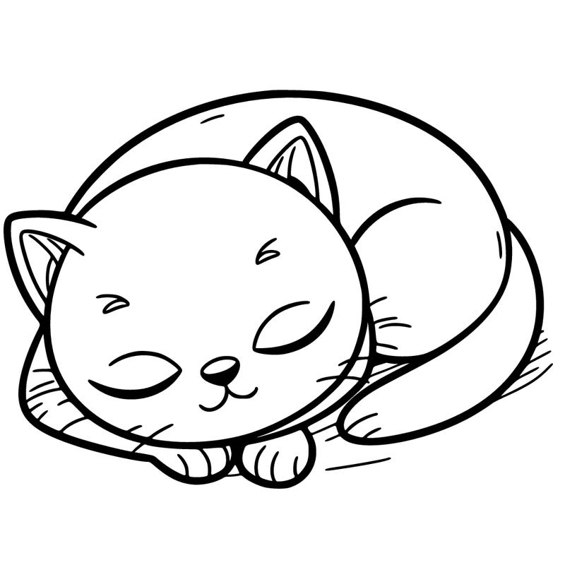 sleeping cat
