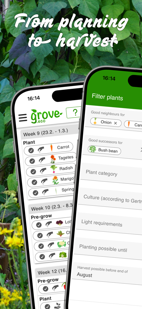 grove: Companion Plant Planner - Grove companion planting app screens for weekly garden tasks and plant filtering.